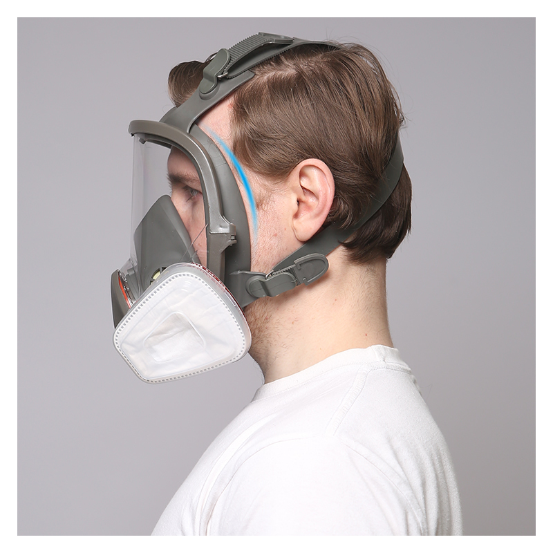 6800 полный респиратор для лиц – обзор и цена Dust Mask Construction